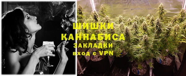 PSILOCYBIN Заволжск