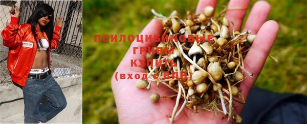 сатива Нея