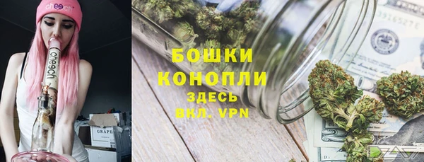 сатива Нея