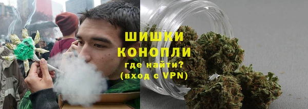 стаф Зеленокумск